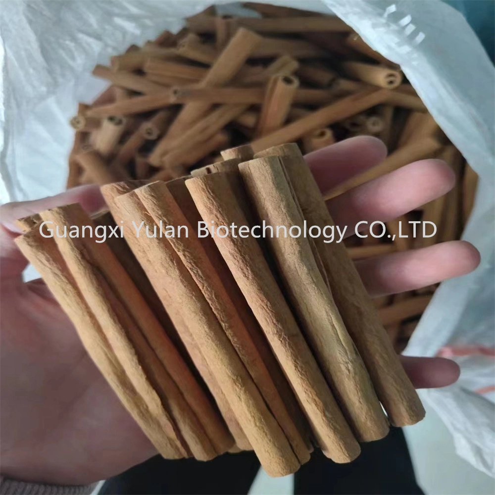 New Crop Food Flavor Cassia Spice Cinnamon Sticks Factory Bulk