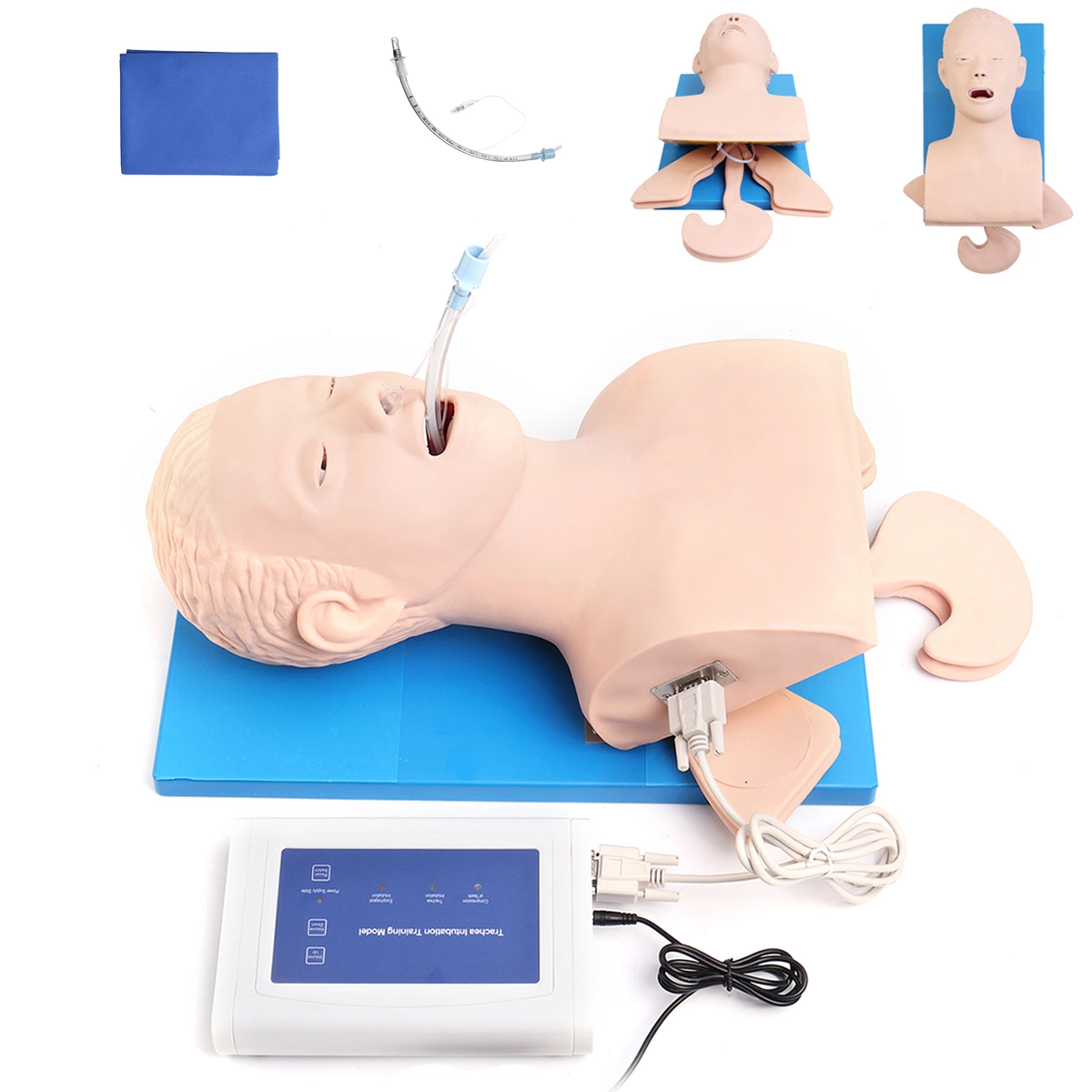 Medical Training Human Airway CPR Manikin Trachea Intubation Model