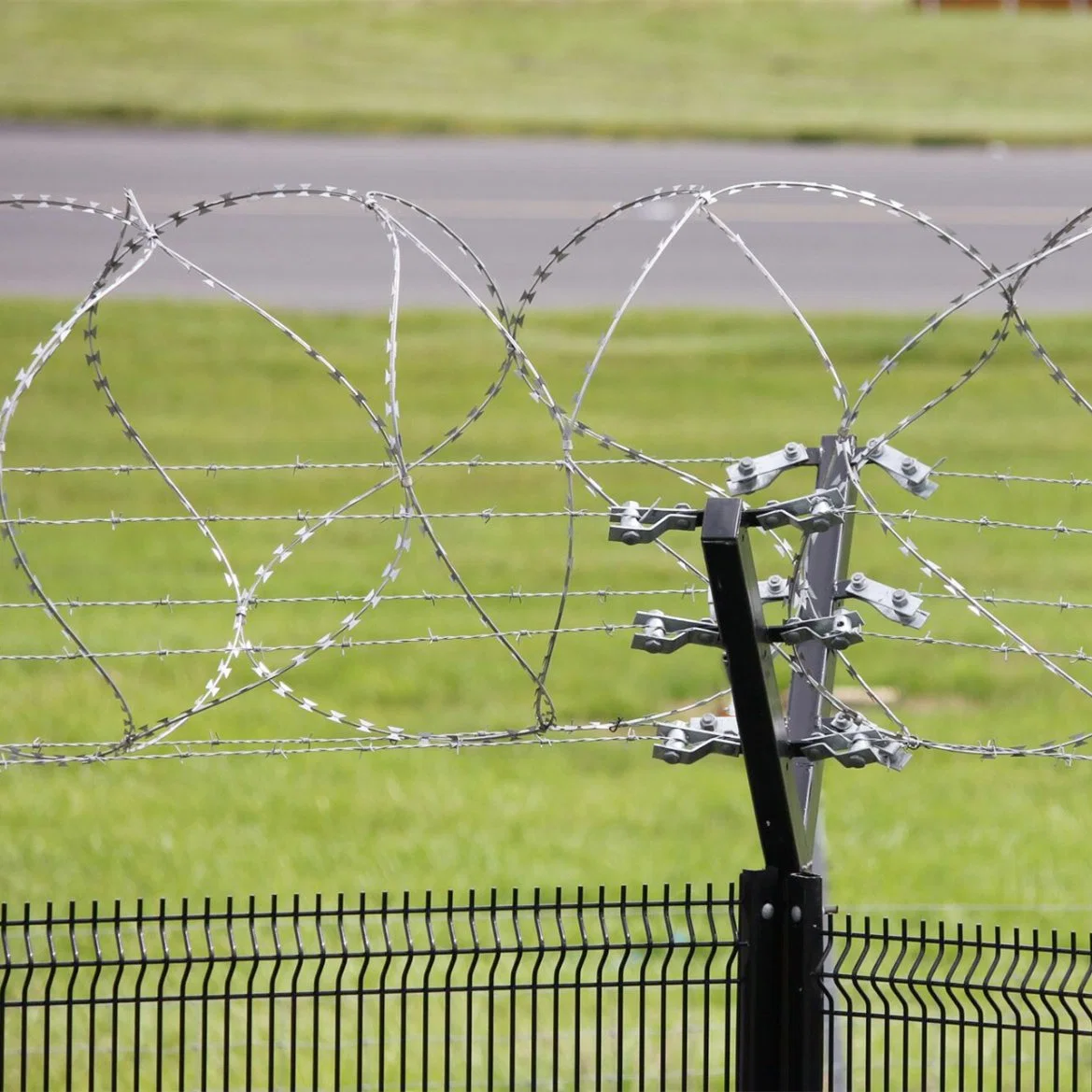 Concertina Barbed Tape & Razor Wire with Factory Price