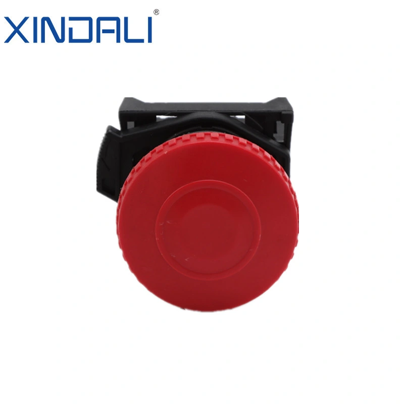 Xdl21-Bt42 CE RoHS Metal Interruptor de pressão de pressão de cabeça de quarto com pressão