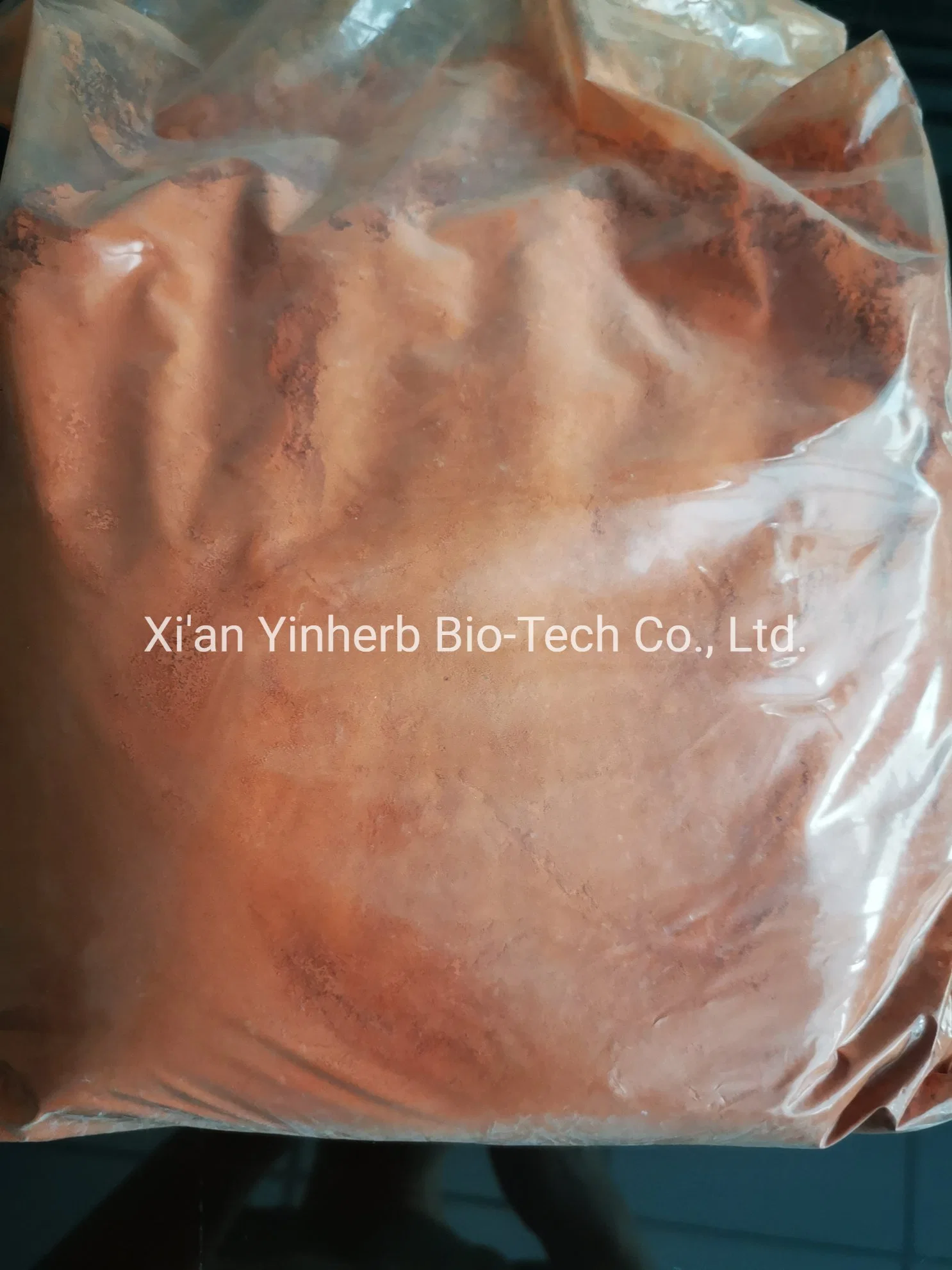 Yinherb Supply New Researched Chemicals 99% Purity in Stock Raw Powder 5-Amino-1mq / Nnmti CAS. 42464-96-0