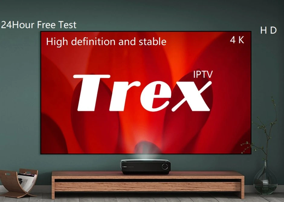 Assinatura de TREX IPTV 1 3 6 Painel de revenda de 12 meses Código de subscrição para todos os Canais da Europa da América do Norte, França, Holanda Android TV Box Smart TV Box