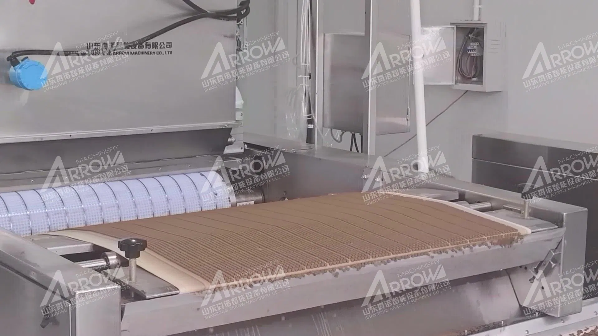 Shandong Arrow Pet Training trata la máquina de extrusión de frío