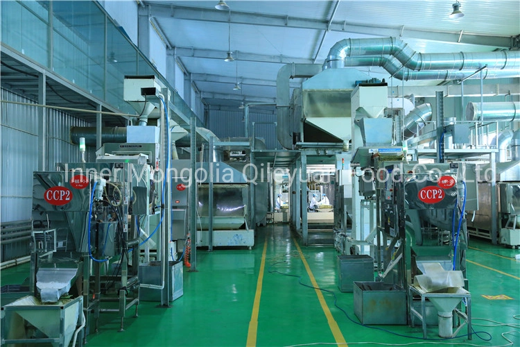 Bulk Vacuum Pack Factory Price Food Ingredient Sunflower Seed Kernels