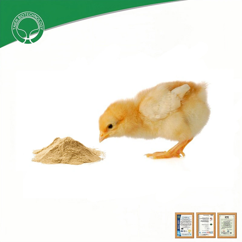 Spray Dried Chicken Plasma Powder