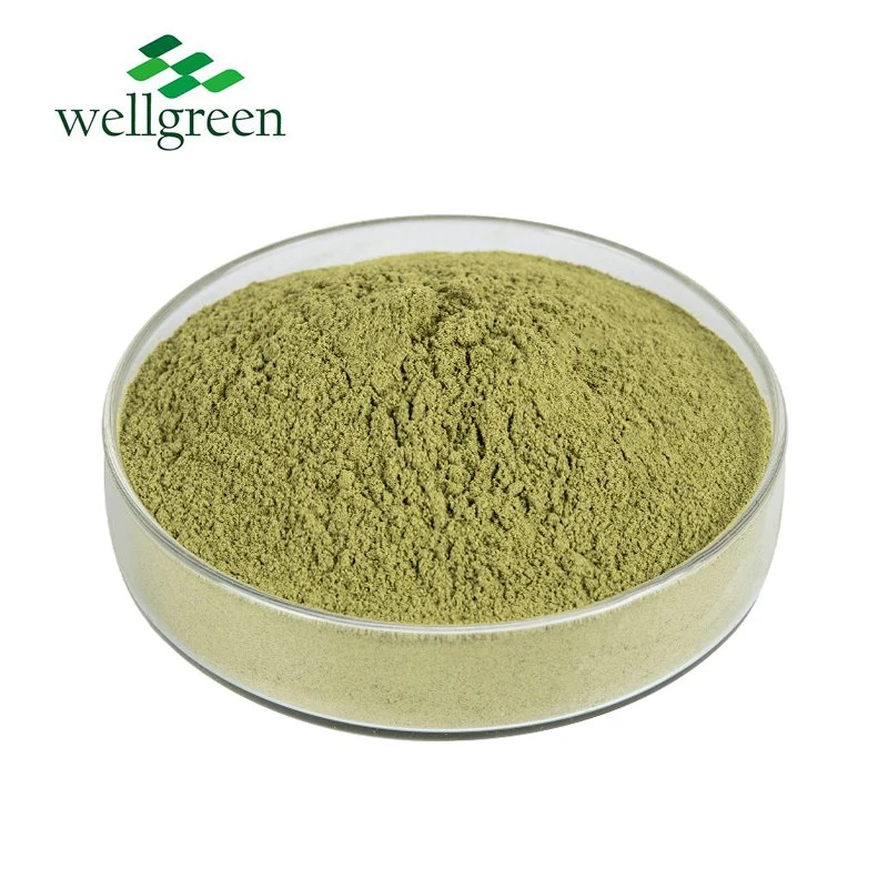 100% Pure Natural Water Soluble Moringa Oleifera Powder Moringa Leaf Extract Powder