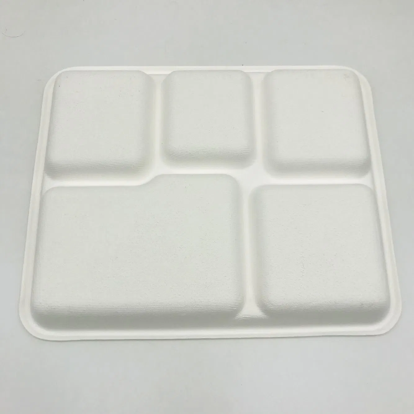 100% Plateau de bagasse de canne à sucre biodégradable et compostable.