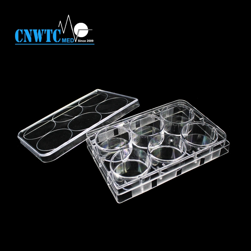 Laboratory Disposables PS Transparent Sterile Tissue Culture Plate with Cover