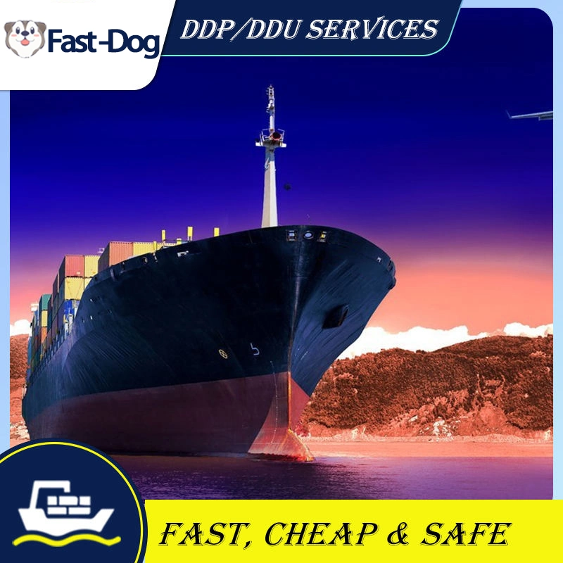 DDP Agente de envío FBA Freight Forwender China a Australia/ Dubai/EAU