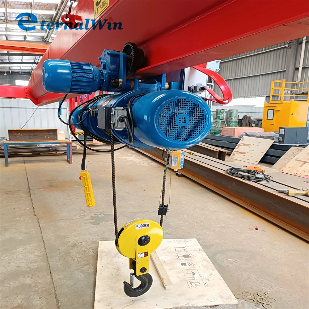 Factory Price Professional Customized Heavy Weight Hoisting Double Hook for Crane Double Lifting Eot Crane Hook