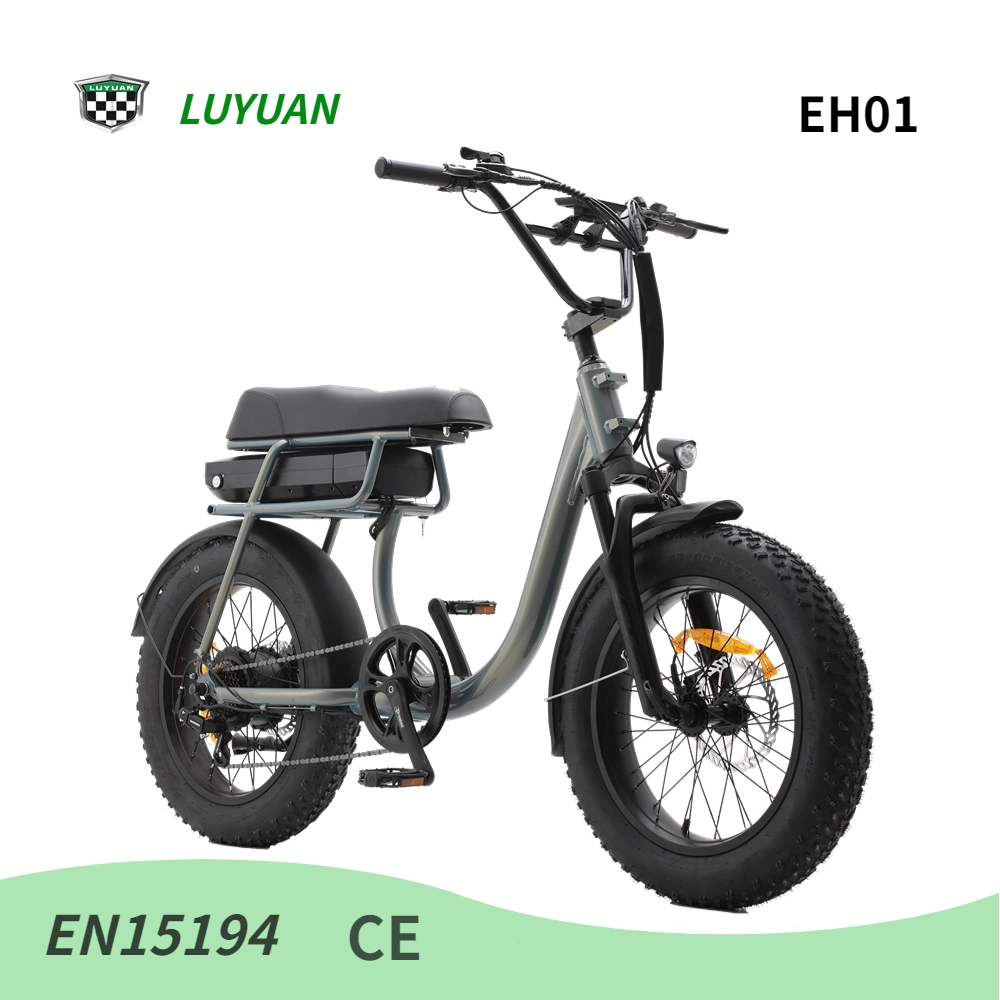 Eh01 500W Vélo électrique vintage tout-terrain
