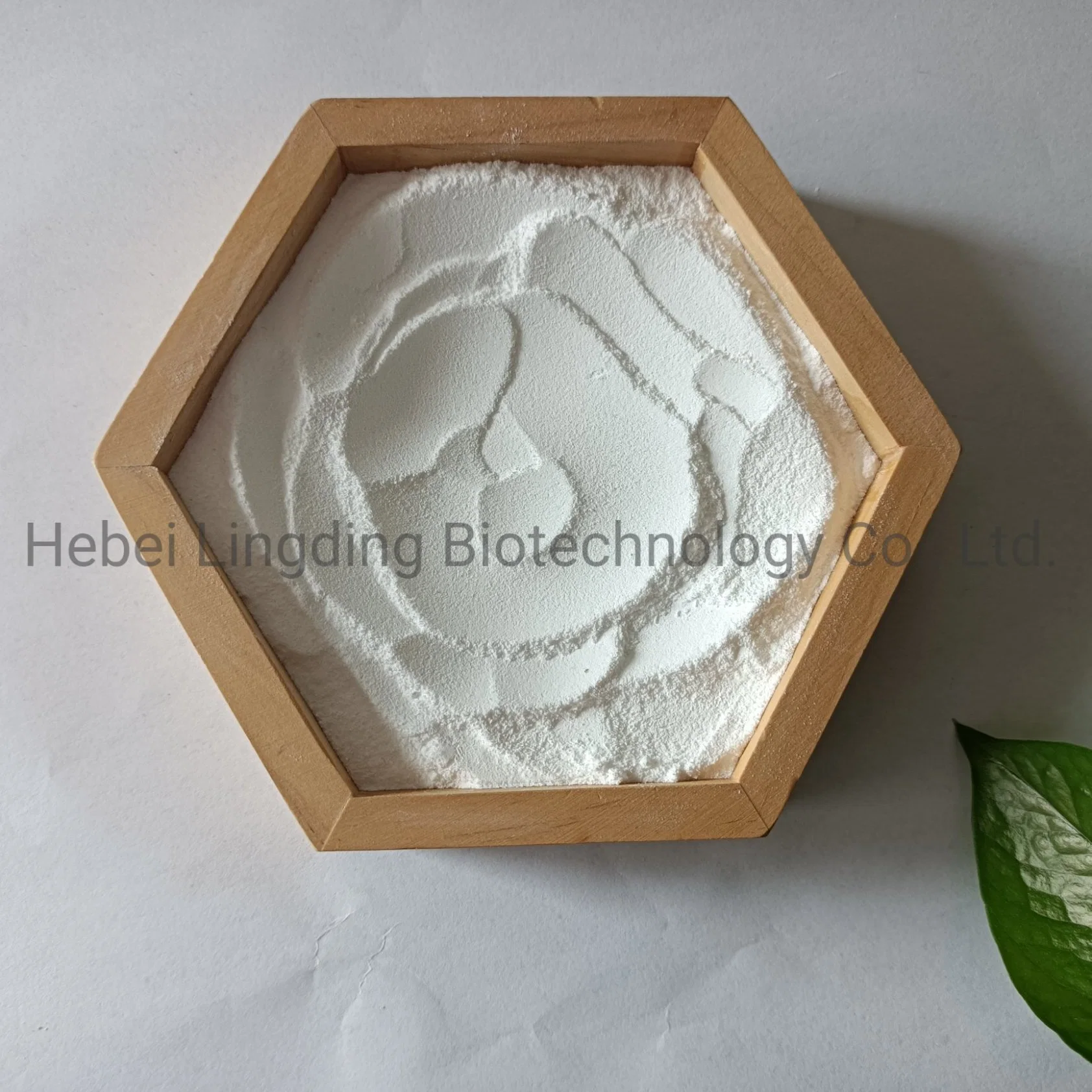 Antibiotic Powder 99% Sisomicin Sulfate Manufacturer CAS 53179-09-2