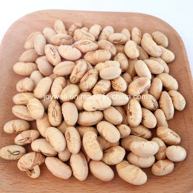 No Coloring Salted Roasted Soybean Healthy Snacks