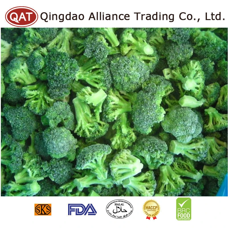 Factory Supplier New Crop Vegetables Frozen Broccoli Cut 3-5 Cm IQF Organic Broccoli Florets with FDA Kosher Halal