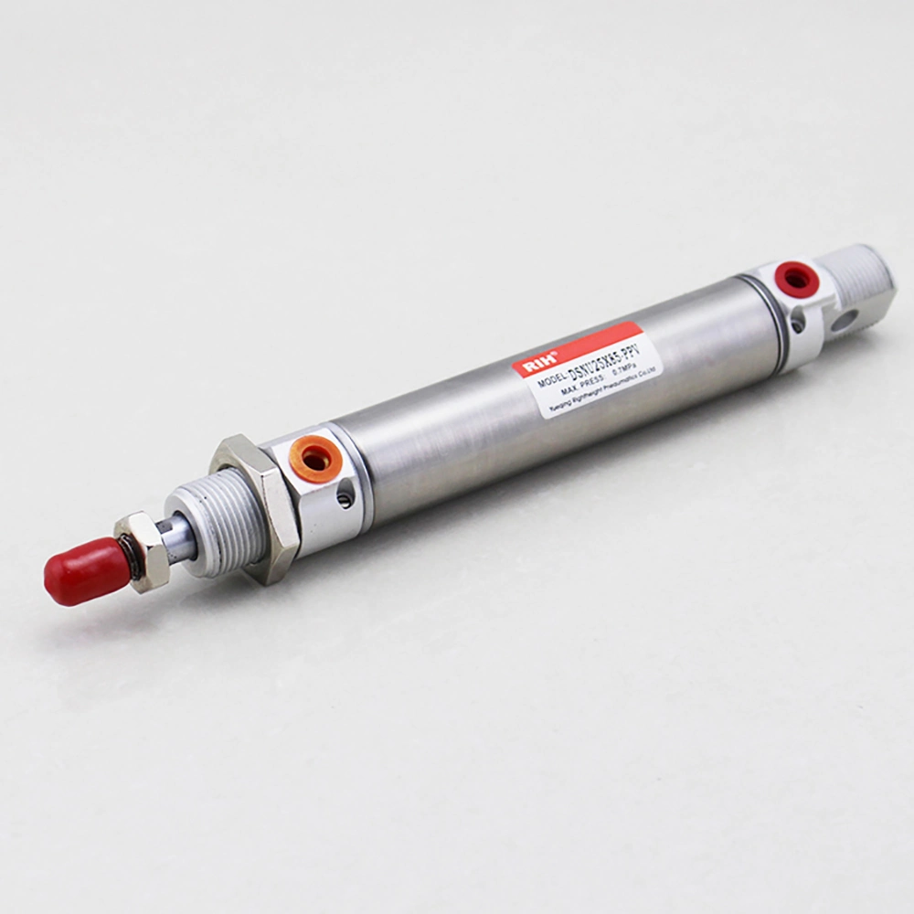 Dsnu Series Stainless Steel Mini Pneumatic Cylinderair Piston Cylinder