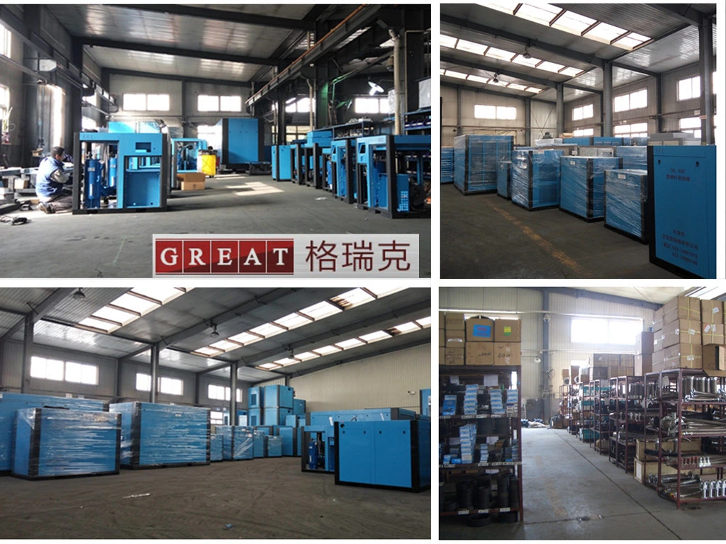 China Great Brand Spare Parat for Electric Twin Rotary Screw Air Compressor