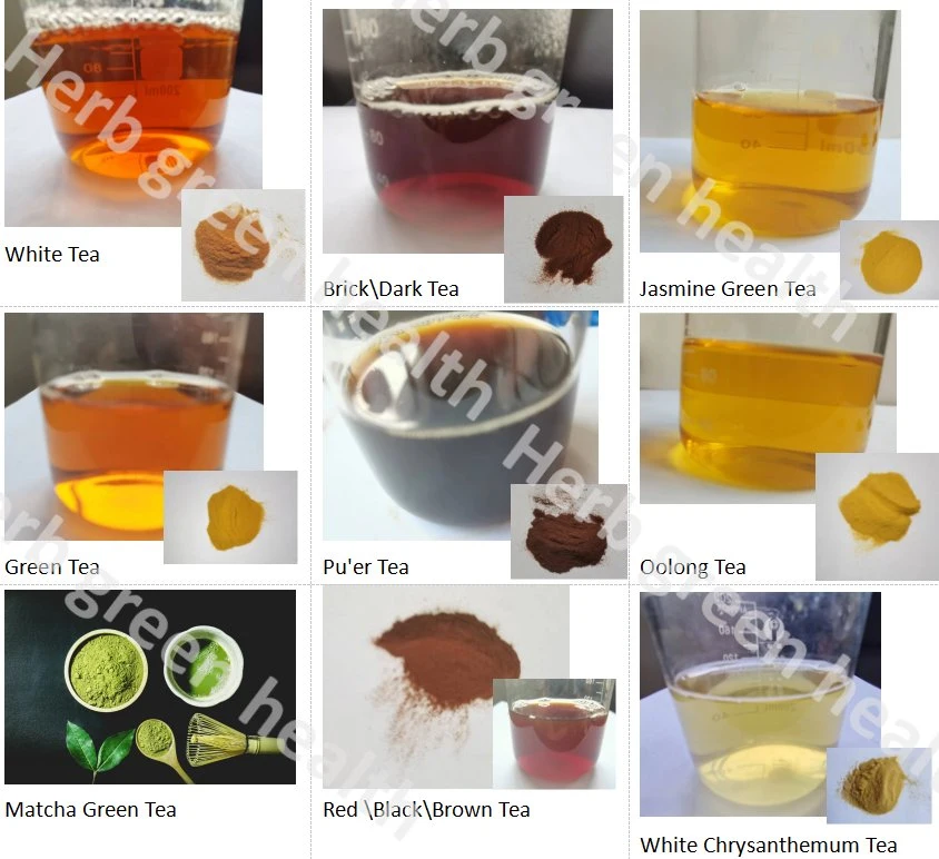 OEM ODM Original Factory Instant Green Tea, Black Tea, Oolong Tea, Puerh Tea, White Tea Powder