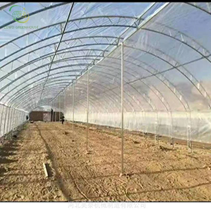 Cheap Agricultural Single Span Poly Film Tunnel Greenhouse with Irrigation and Hydroponics Growing System Spacious Greenhouse for Plants Medical Plants