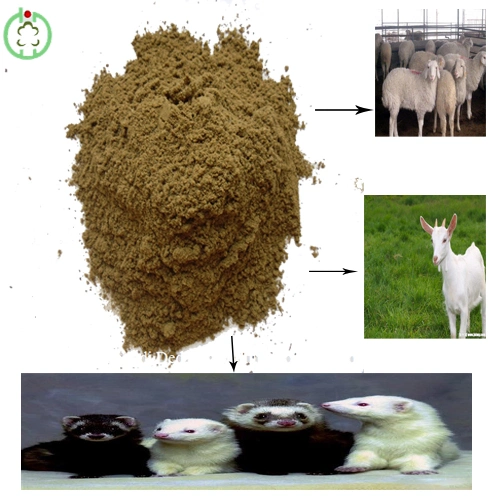 Protein Powder Fishmeal Animal Feed