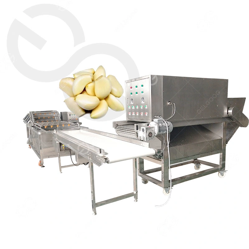 Garlic Processing Machine Plant, Peeling, Washing, Packing