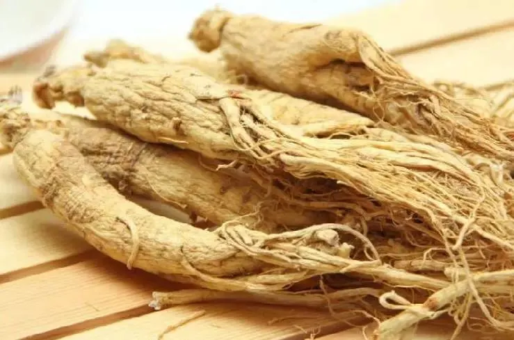 Ren Shen chinesische Kräuter weiß Panax Ginseng Wurzel schneiden Slice