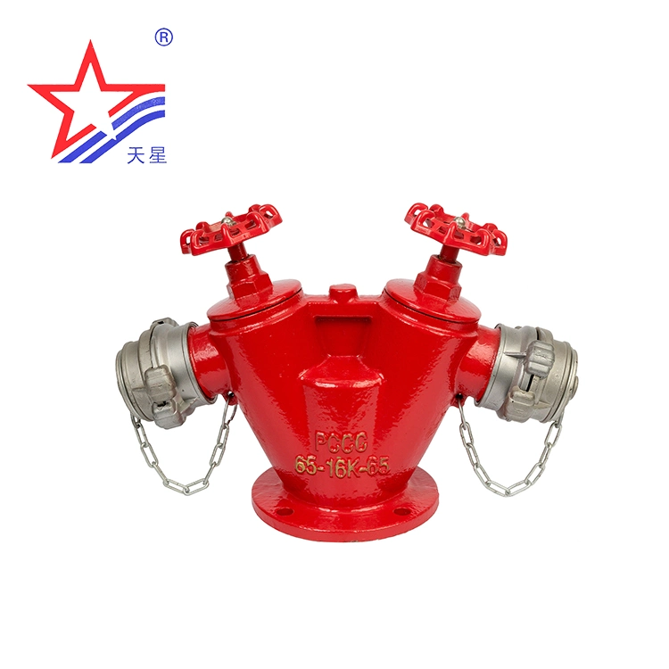 Preaction Alarm Valve, Check Valve