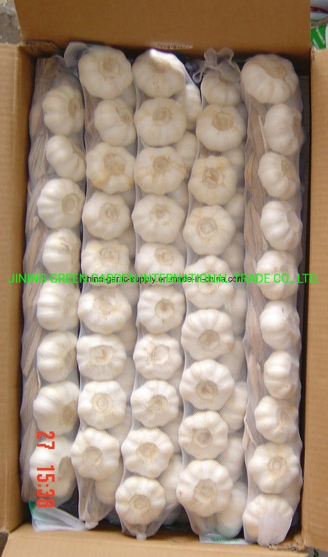 China White Garlic, Pure White Garlic, Normal White Garlic, Solo White Garlic, China White Garlic, Dehydrated Garlic and Fried Garlic From Factory Supplier