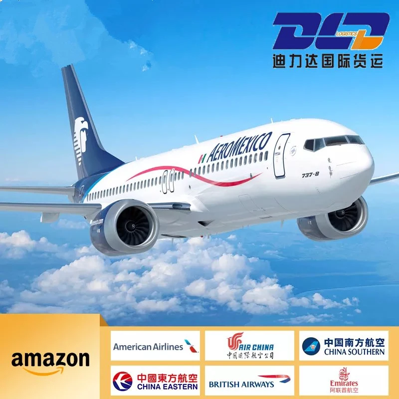 Air Freight / From Shenzhen to Netherlands (AMS/MST/RTM/SXM) /to The Airpor