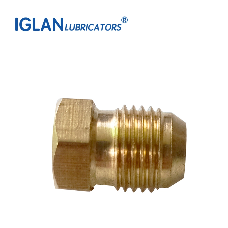 Hex Pipe Fitting Brass Material Plug Oil Pipe Closure Plug Grease Tube Valve Fittings