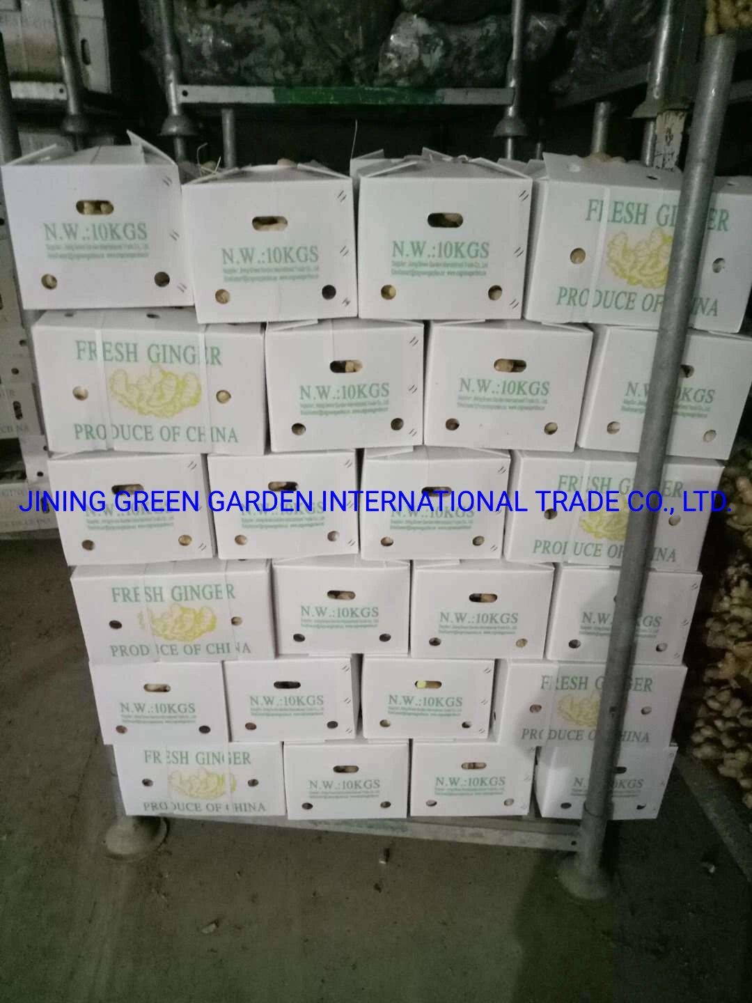 Hot Selling Factory Supplier 100g/150g/200g/250g/300g and up Air Dry Ginger From China with Mesh Bag/PVC/Carton Box Packing, Top Quality Good Price Dry Ginger