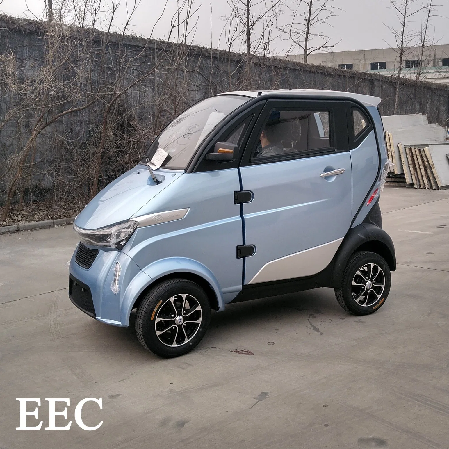 Runhorse coche eléctrico de 4 ruedas con la CEE L2e de la cabina Scooter de movilidad eléctrica