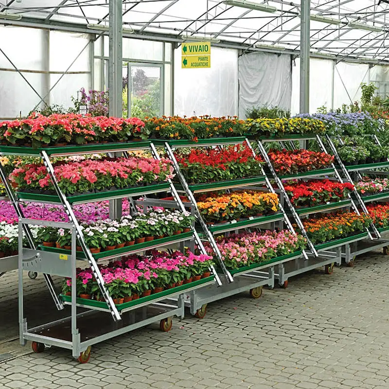 Garden Center Gem : chariot danois soudé à la perforation avec roulettes TPR – Super qualité en provenance de Chine