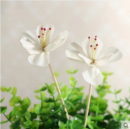 Auditorias de fábrica de vender a sola flor para difusor de cana