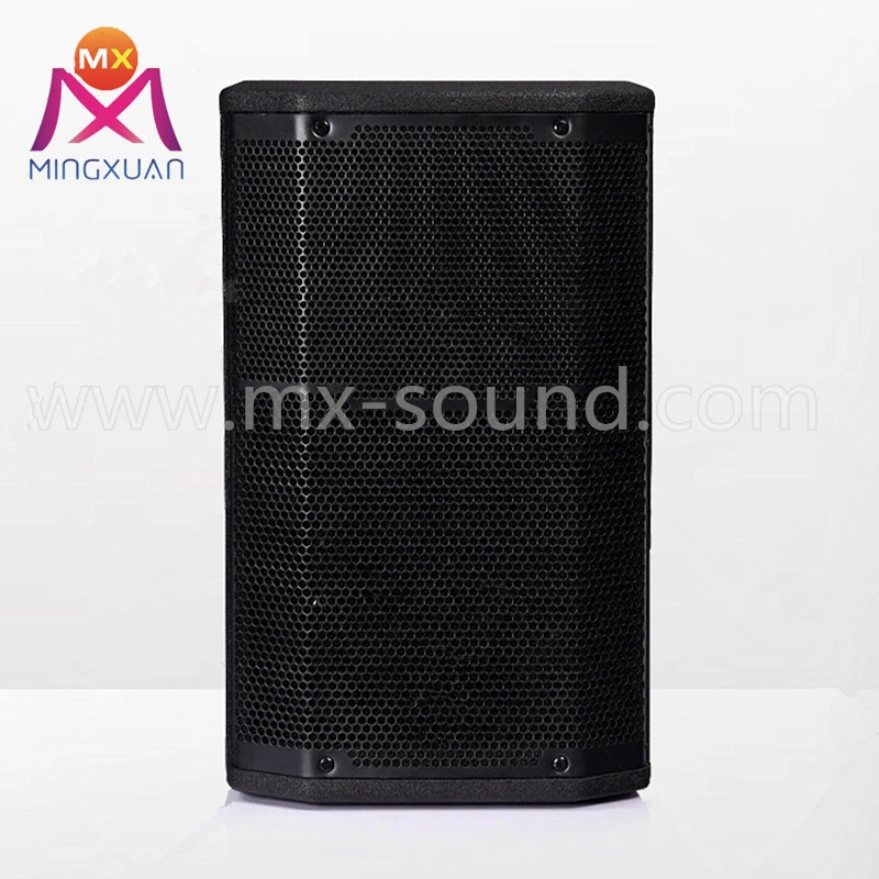 1000W Professional Speaker for Outdoor Sound System