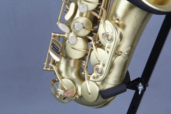 Quality Alto Saxophone (Canex SAA800-AG)