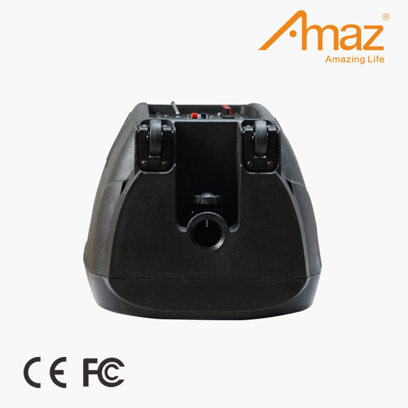 Amaz Original Factory Wholesale/Supplier Price 12 Inch Wireless Bt Speaker Trolley Speaker for Party