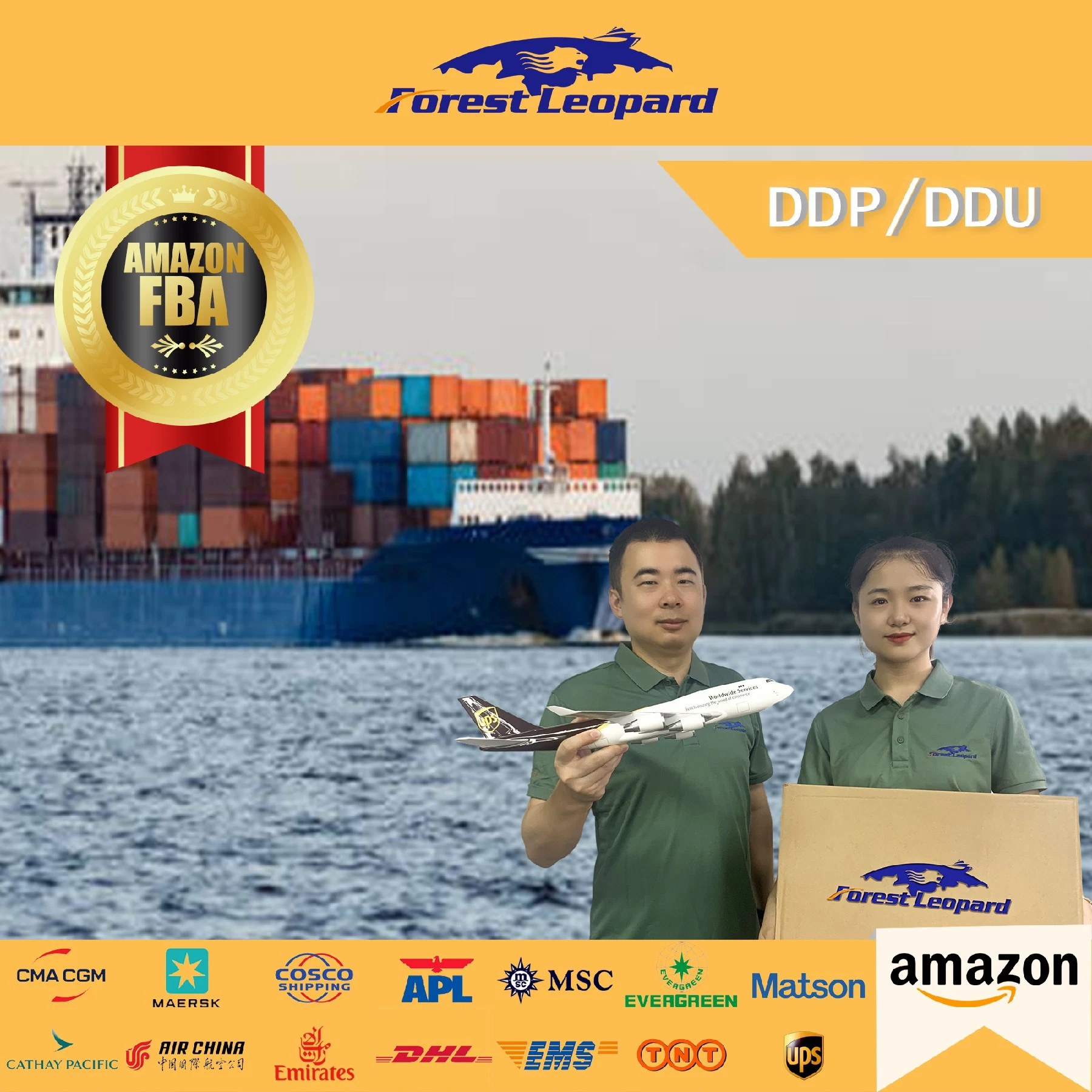 Freight Forwarder Transport DDP Amazon Fba Sea Freight to UK Italy France Poland New Zealand United States