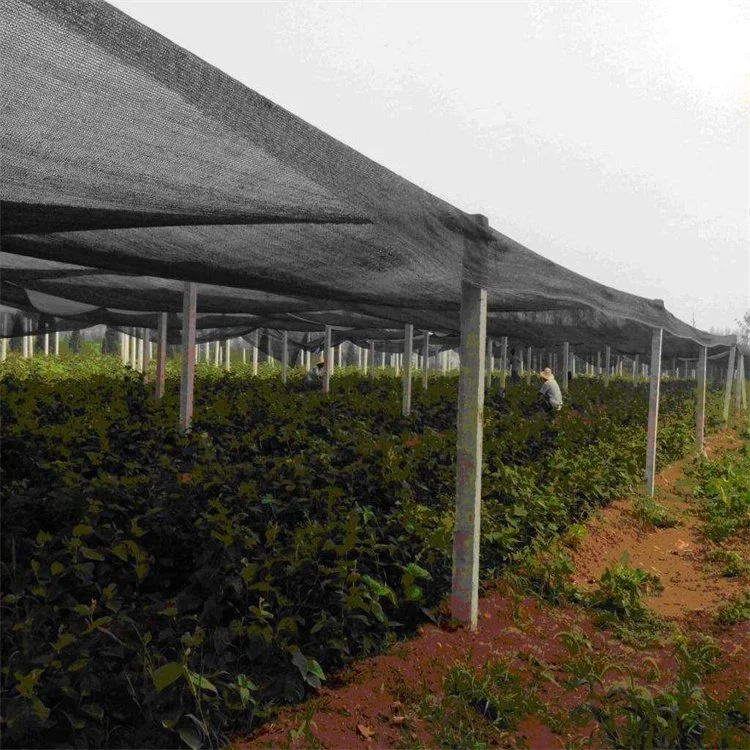Best Quality 100% Virgin HDPE Plastic Nylon Black UV Shade Net for Farm Garden Greenhouse Agriculture Shading Blocked