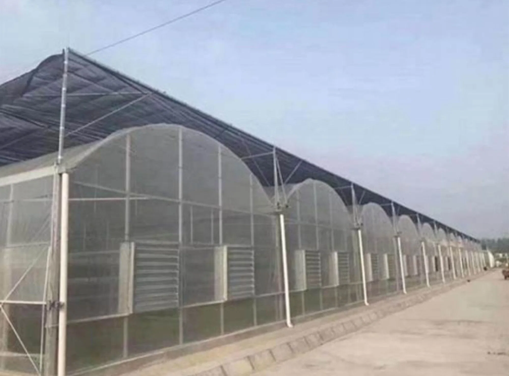 Intelligent Control of High-Tech PC Sheet Hydroponics Multi-Span Agricultural Greenhouses