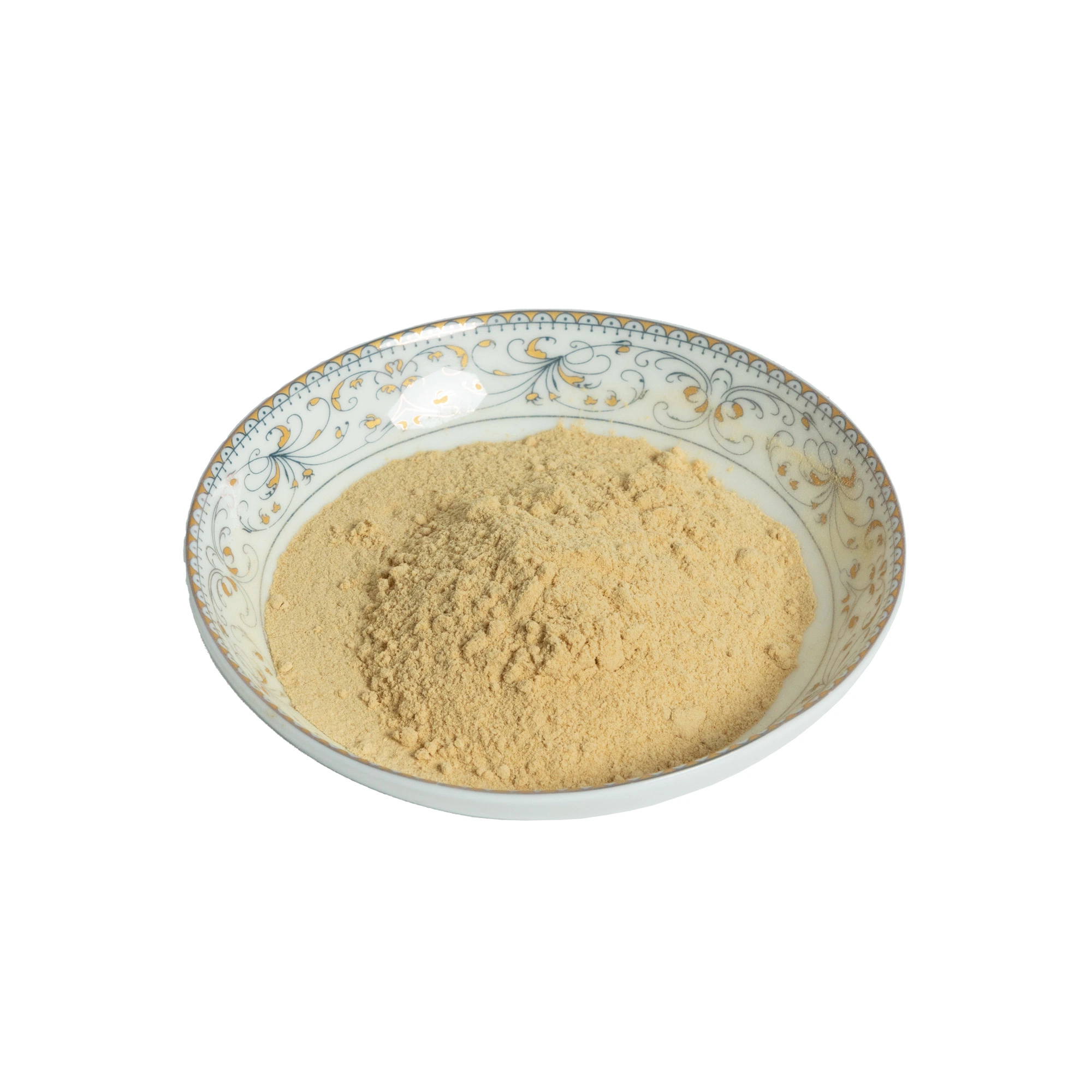 Ginger Powder Natural Herbal Plant Extract