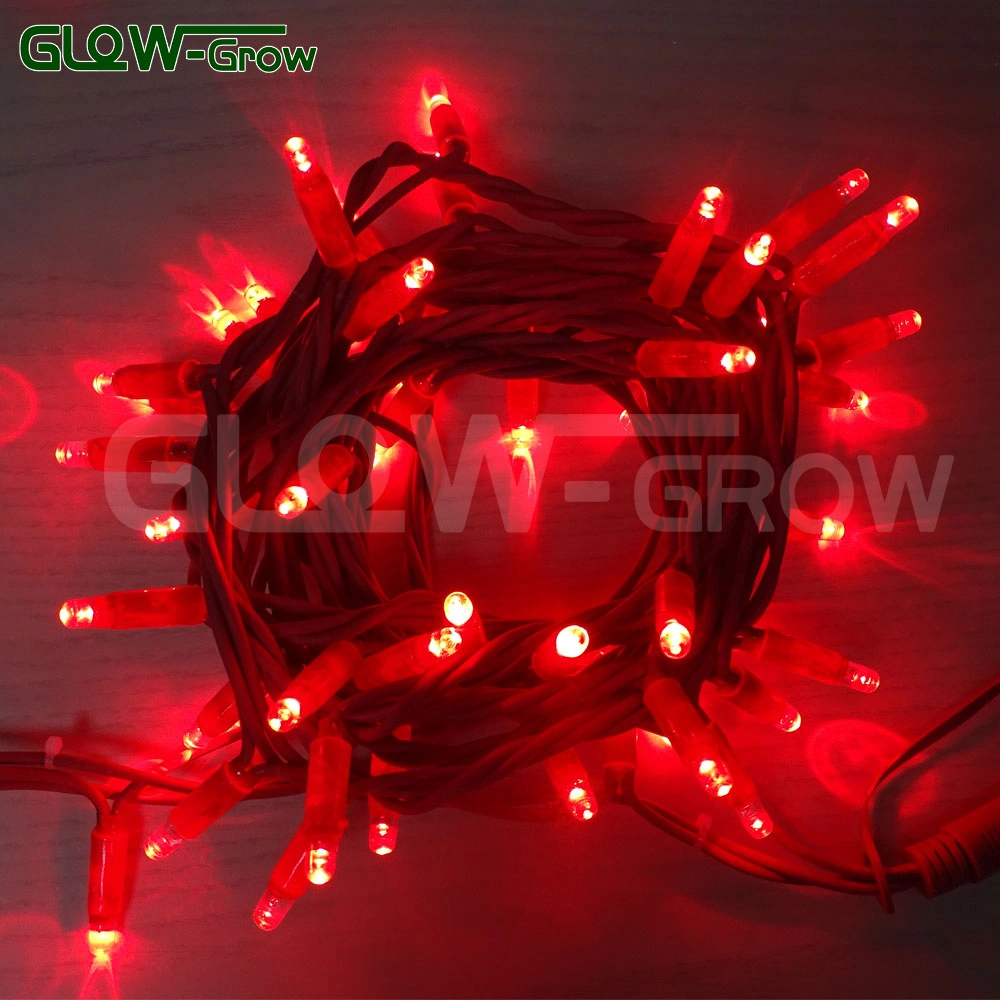 IP65 Waterproof 50 LEDs Christmas White LED String Light Birthday Lighting