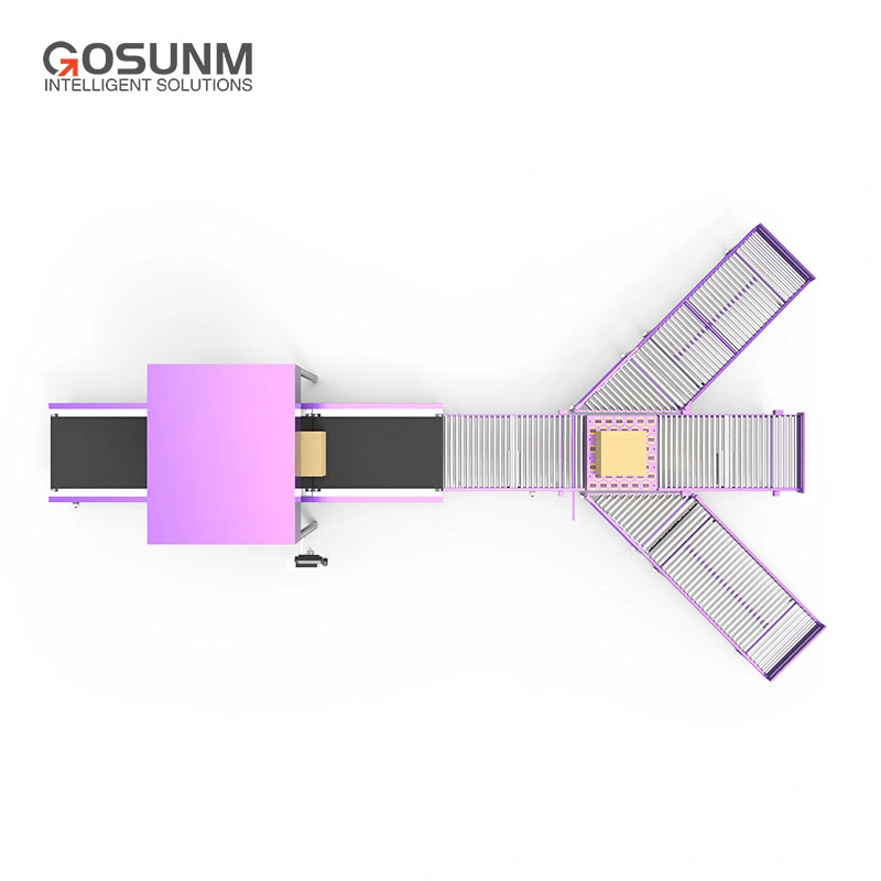 Dynamic Dws Warehouse Logistic System Dimensioning Weighing Scanning Cubiscan Equipment