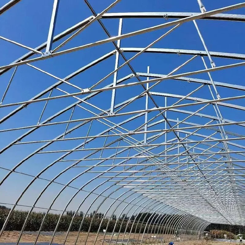 PC Sheet Steel Structure Frame House Polycarbonate Greenhouse with Hydroponic System