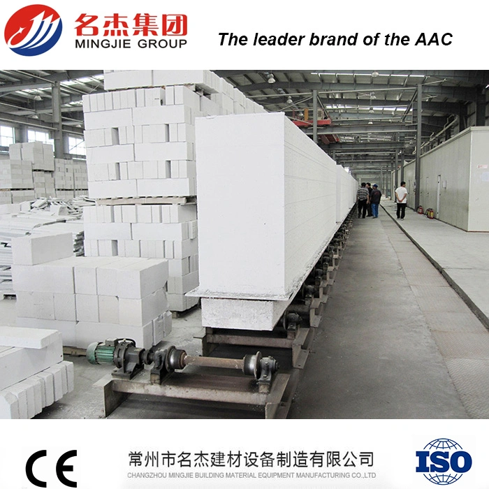 Autoclaved Aerated Concrete Block Manufacturing Equipment