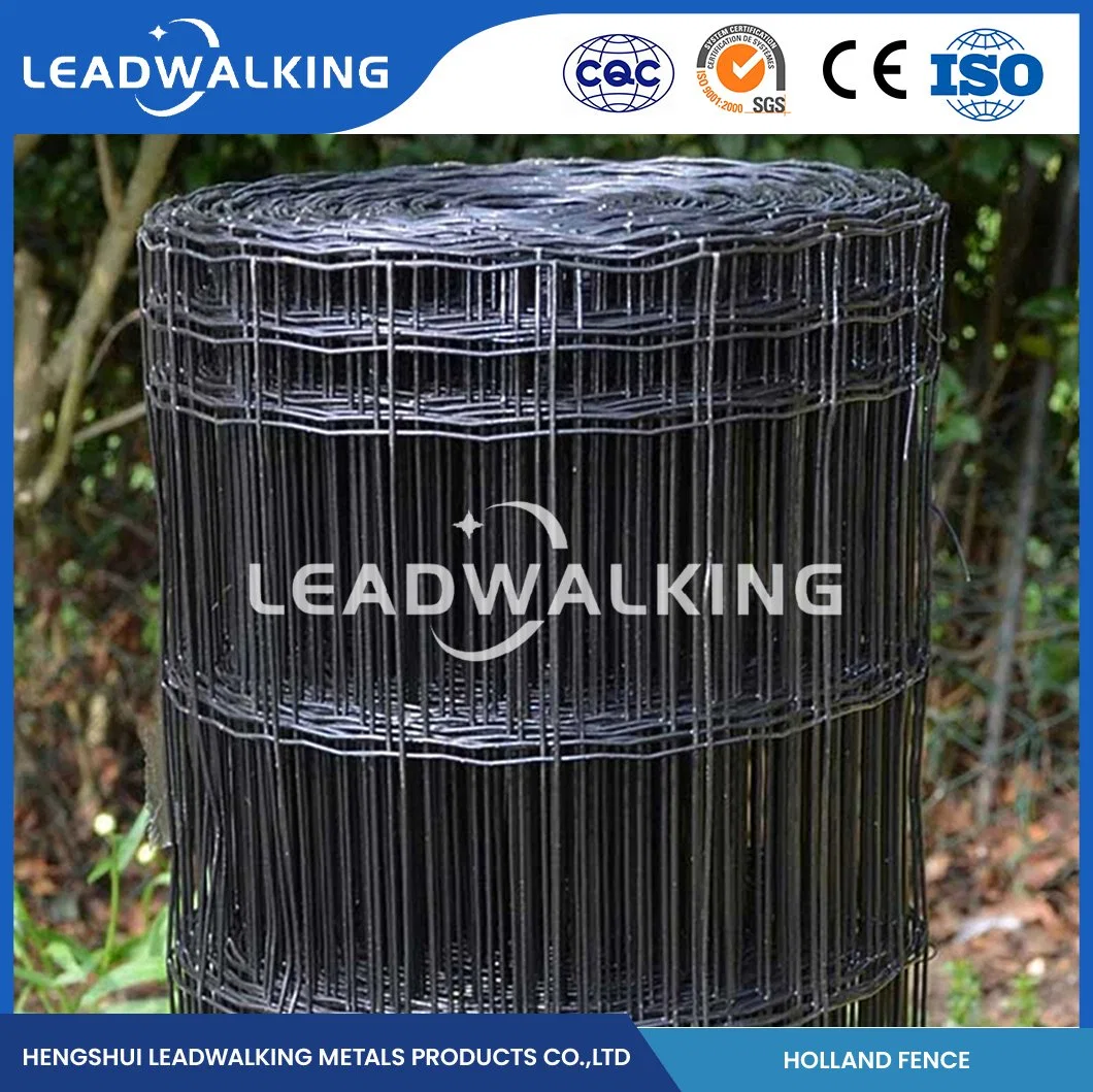 Muestra de fábrica de malla de alambre recubierta de PVC soldada en Leadwalking disponible 3mm Paneles de malla de alambre soldado recubiertos de PVC China 3,0mm grosor del alambre Nederlands Net