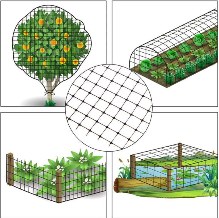 Compensación de las aves de jardín para proteger las plantas de hortalizas y frutales de compensación de enrejado de plástico de resistencia al envejecimiento de la barrera de plagas