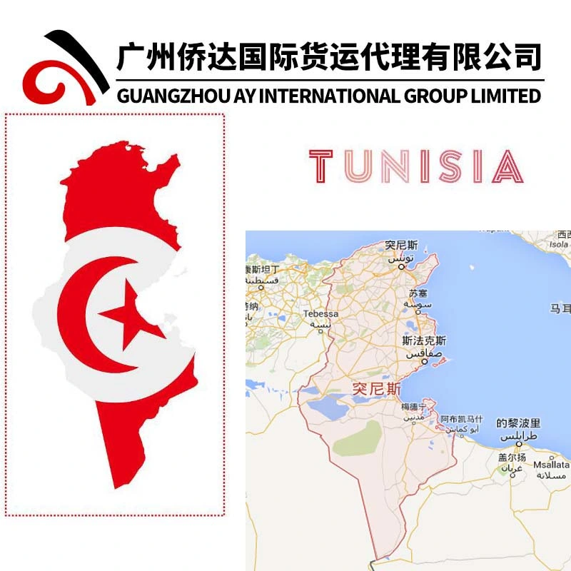 Guangzhou/Yiwu Warehouse Container Shipping to Tunisia/Sousse/Sfax From China by Sea