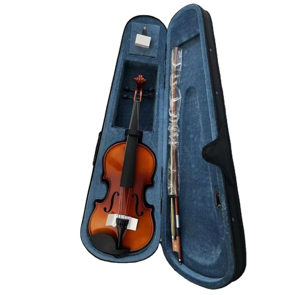 Online Shop Hot Sale Brazil Wood Cheaps Accessory with Cases Violin