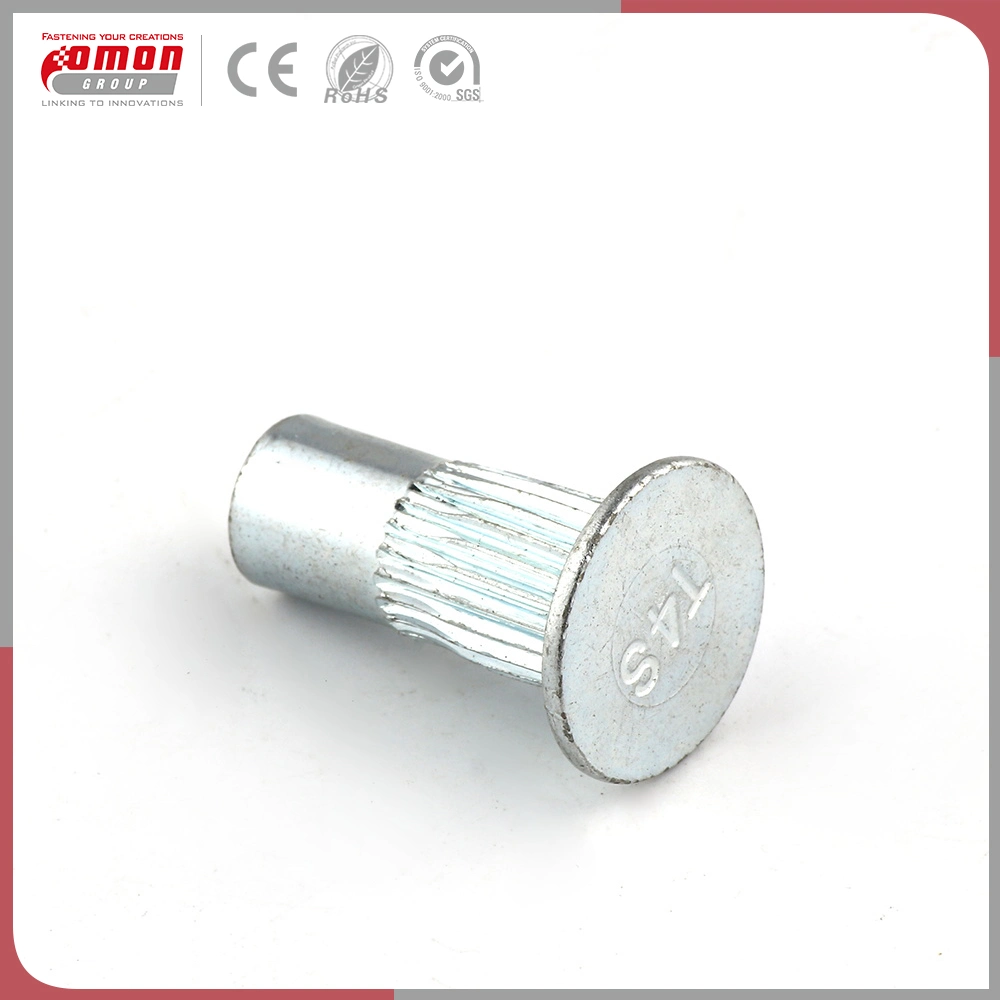 OEM Bolt Brass Stainless Steel Hex Rivet Nut for Building