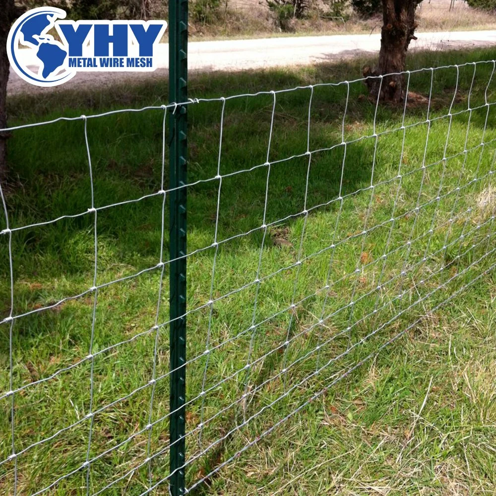 2.5 mm Galvanized Hinge Joint Knot Wire Mesh/Field Fence for Grassland Fence